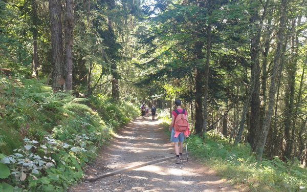 Accueil petit slider 4