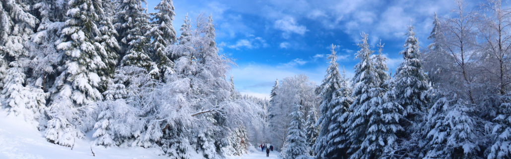 Slider 2 Hiver