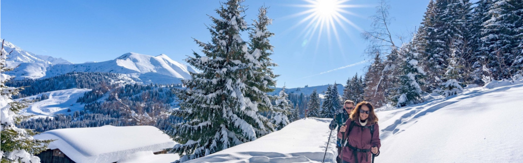 Slider 1 Hiver